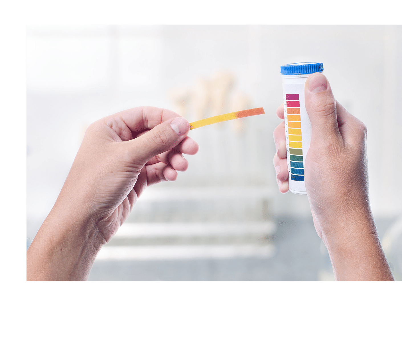 Best pH strips for Homebrewing